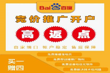 SEM运营中的数据分析和优化案例研究